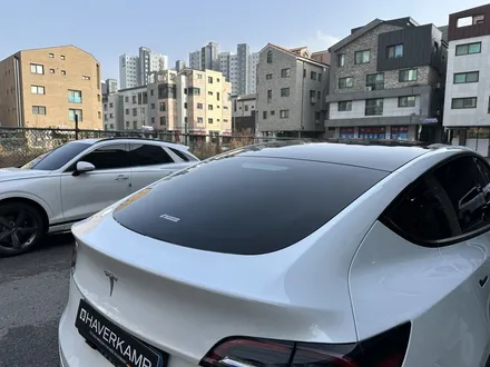 테슬라 모델Y 썬팅은 비반사 필름! 열차단 훌륭한 블락포디 / 하남 망월동