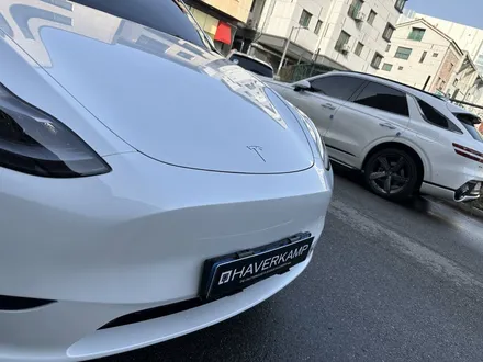테슬라 모델Y 썬팅은 비반사 필름! 열차단 훌륭한 블락포디 / 하남 망월동