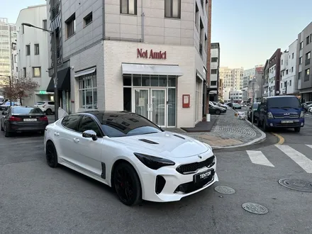 스팅어 부분랩핑, 보험수리, 루프스킨, 필러, 블랙박스 아이나비, 보험수리랩핑은 카이로스 하남점에서! / 하남 망월동