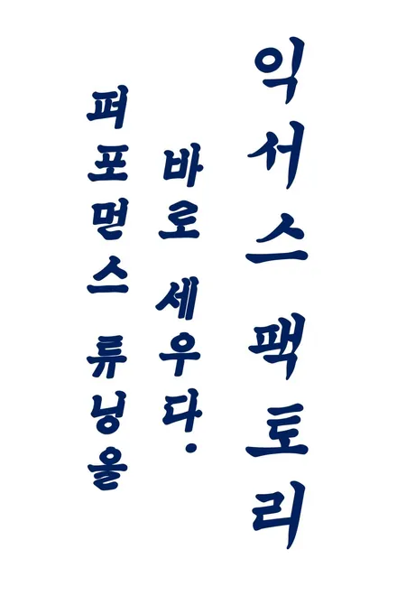 엑센트 세단 듀얼배기 머플러 / 구변이 필요없는 순정형 듀얼배기 - 성남 분당 용인 배기튜닝샵 익서스팩토리 / 용인 처인구