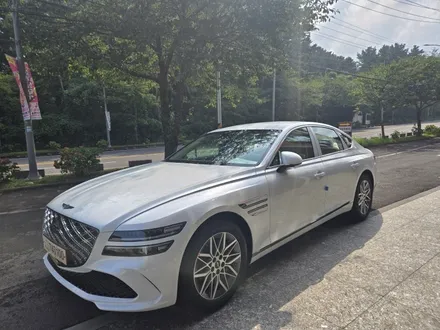 [제주 한보자동차용품] 제주도에서 제네시스 G80 썬팅 고민이라면? 3M 크리스탈라인 필름 & PPF 시공 신차패키지 / 제주도 제주시