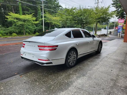 [제주 한보자동차용품] 제주도에서 제네시스 G80 썬팅 고민이라면? 3M 크리스탈라인 필름 & PPF 시공 신차패키지 / 제주도 제주시