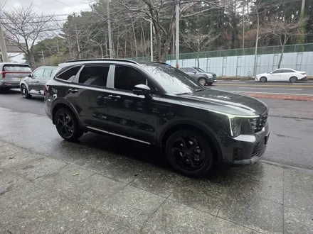 [제주 한보자동차용품] 기아 쏘렌토 신차패키지 - 버텍스 900 썬팅 시공 / PPF 시공 - 제주시 썬팅 추천 / 제주도 제주시