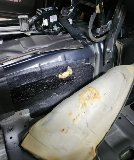 국산차 크레파스? 기아 K9 실내 악취? 해결 방법은? / 부산 강서