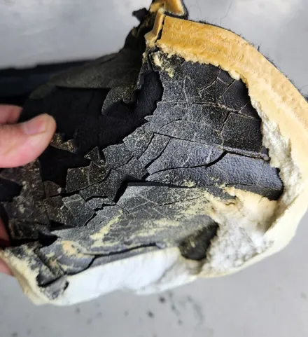K9 실내 냄새, 악취 실내 클리닝?에바 클리닝?으로 해결? 절대 불가능합니다! 냄새의 진짜 원인은? / 부산 강서