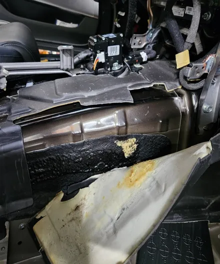 K9 실내 냄새, 악취 실내 클리닝?에바 클리닝?으로 해결? 절대 불가능합니다! 냄새의 진짜 원인은? / 부산 강서