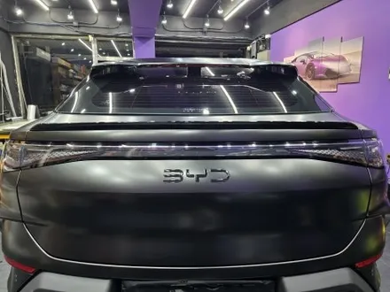 BYD 씨라이언7 출고 후 무광 PPF 완벽한 변신 / 서울 송파구 문정동