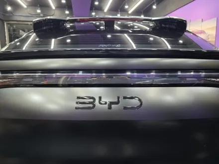 BYD 씨라이언7 출고 후 무광 PPF 완벽한 변신 / 서울 송파구 문정동