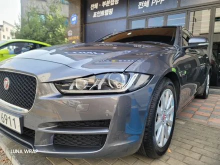 재규어 XE 차량 시공 후 5년이 지난 랩핑 제거하기! / 김포 김포한강7로