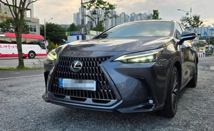 LEXUS NX350h NEXUS NEX80R 반반사 열차단 썬팅 재시공 렉서스 방전 점프 방법도 알려드려요~