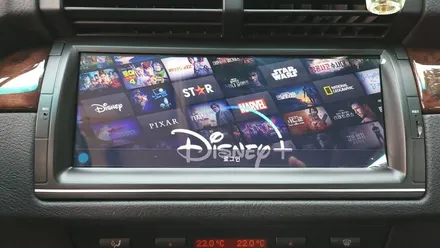 BMW X5 2005년 E53 안드로이드올인원 해외직구 제품 및 AHD후방카메라 설치 기존 DSP앰프 살려서 장착 + 라디오배선 연장 ~, 시공 by 용인 블루존