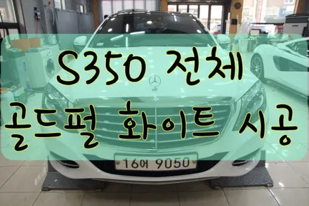 벤츠 S350 전체 골드펄 화이트 시공입니다.  #ppf #대구PPF #랩핑 #대구랩핑 #카스킨 #대구카스킨 / 대구 수성구 황금동