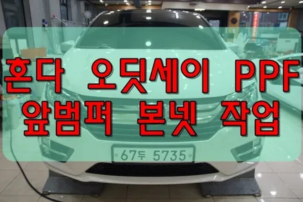 대구PPF 혼다 오딧세이 본넷 앞 범퍼 PPF 작업 / 대구 수성구 황금동