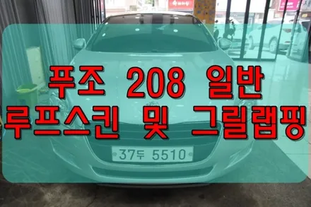 대구랩핑 대구루프스킨 푸조208 일반 루프스킨 및 그릴 랩핑 작업 / 대구 수성구 황금동