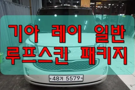대구PPF 대구랩핑 대구루프스킨 기아 레이 루프스킨 패키지 / 대구 수성구 황금동