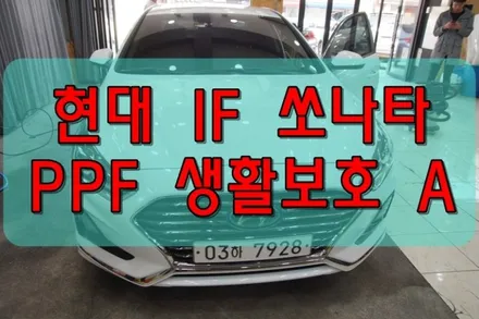 대구 PPF 쏘나타 PPF 생활보호 패키지 A 시공 / 대구 수성구 황금동