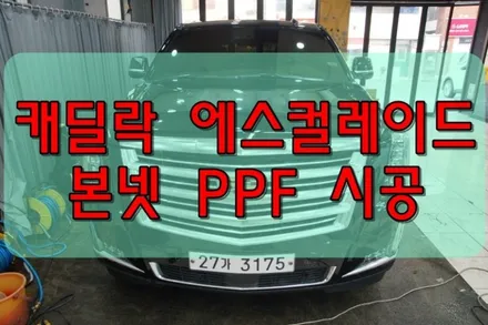 대구PPF 대구랩핑 캐딜락 에스컬레이드 본넷 PPF / 대구 수성구 황금동