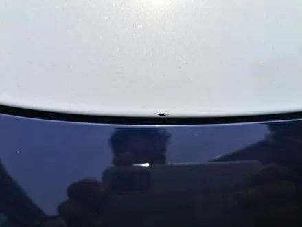 기아 스팅어 접촉사고 랩핑 재시공<대구PPF><대구랩핑> / 대구 수성구 황금동