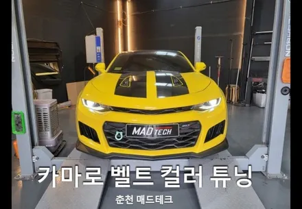 카마로 안전벨트 교체 작업 / 옐로우 컬러 안전벨트 튜닝 (춘천 매드테크) / 강원, 춘천, 홍천, 가평