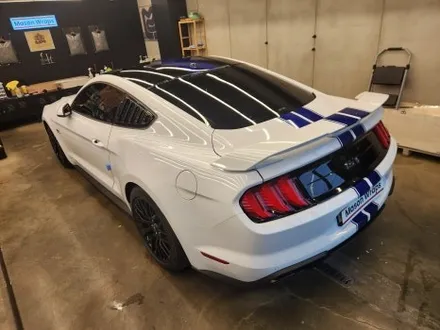 포드 머스탱 GT 6세대 S550 바이퍼 라인 / PPF 프론트 패키지 - [과천랩핑 / 마손랩] / 과천시 갈현동