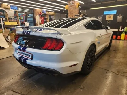 포드 머스탱 GT 6세대 S550 바이퍼 라인 / PPF 프론트 패키지 - [과천랩핑 / 마손랩] / 과천시 갈현동