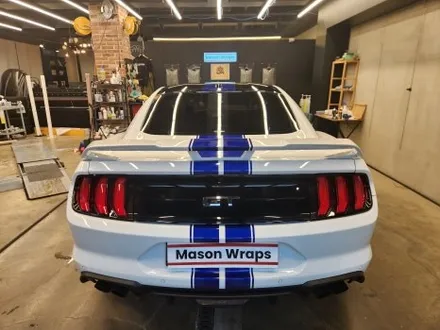 포드 머스탱 GT 6세대 S550 바이퍼 라인 / PPF 프론트 패키지 - [과천랩핑 / 마손랩] / 과천시 갈현동