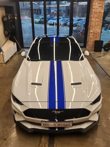 포드 머스탱 GT 6세대 S550 바이퍼 라인 / PPF 프론트 패키지 - [과천랩핑 / 마손랩] / 과천시 갈현동