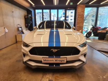 포드 머스탱 GT 6세대 S550 바이퍼 라인 / PPF 프론트 패키지 - [과천랩핑 / 마손랩] / 과천시 갈현동