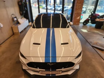 포드 머스탱 GT 6세대 S550 바이퍼 라인 / PPF 프론트 패키지 - [과천랩핑 / 마손랩] / 과천시 갈현동