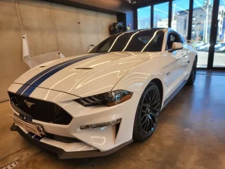 포드 머스탱 GT 6세대 S550 바이퍼 라인 / PPF 프론트 패키지 - [과천랩핑 / 마손랩] / 과천시 갈현동