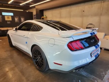 포드 머스탱 GT 6세대 S550 바이퍼 라인 / PPF 프론트 패키지 - [과천랩핑 / 마손랩] / 과천시 갈현동