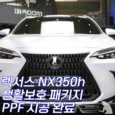 렉서스 NX350h 용인 생활보호 PPF 패키지 시공 / 수원 인계동