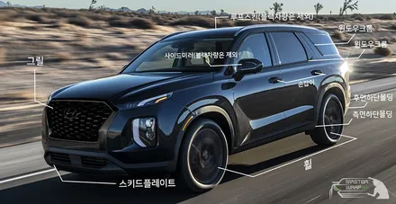 팰리세이드 블랙팩과 생활보호패키지PPF / 수원 인계동