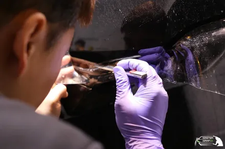 캐딜락 에스컬레이드 전체 용인 PPF 및 블랙유광 휠 도색 / 수원 인계동