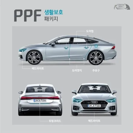 패밀리카의 제왕, 카니발 수원 PPF 부분 시공 / 수원 인계동
