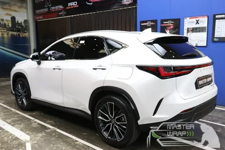 렉서스 NX350h 용인 생활보호 PPF 패키지 시공 / 수원 인계동