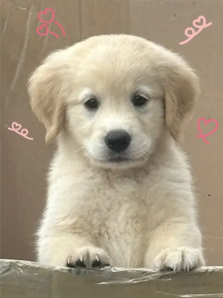 송파 콜로라도 어라운드뷰, 전동접이 사이드미러 큰 차체로 시야확보가 어렵다면 360도 어라운드뷰가 시야확보를 보장합니다.