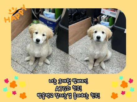 김포 혼다 오딧세이 안드로이드셋탑으로 차량 내 스마트티비를 즐겨보세요_전기/전장 전문 오토갤러리