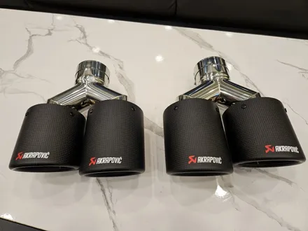 [AKRAPOVIC] 아크라포빅 무광 카본 실버 듀얼 배기팁 / 충청 금산