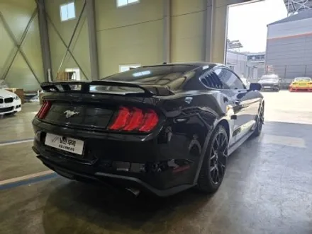 [FORD] 포드 머스탱 마하1 & 슈퍼스네이크 카본 본넷! 압도적 비주얼 머스탱 MACH 1 컨버전 / 충청 금산