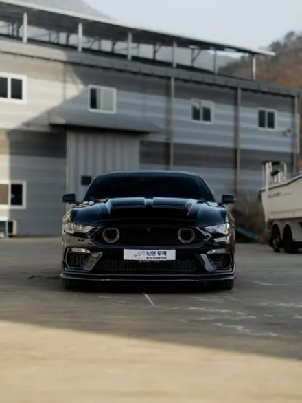 [FORD] 포드 머스탱 마하1 & 슈퍼스네이크 카본 본넷! 압도적 비주얼 머스탱 MACH 1 컨버전 / 충청 금산