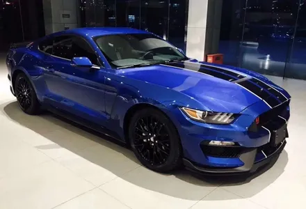 [MUSTANG] 머스탱 쉘비,셸비 GT350 신형개조, 머스탱 신형컨버전, 머스탱 코브라바디킷 / 충청 금산