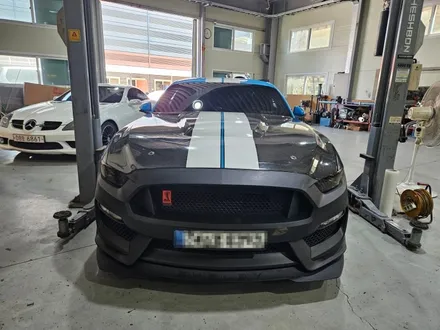 [FORD] 포드 머스탱 6세대 GT350R 한정판 컨버전! 머스탱 완성형 최신 컨버전킷의 끝을 달리다. / 충청 금산