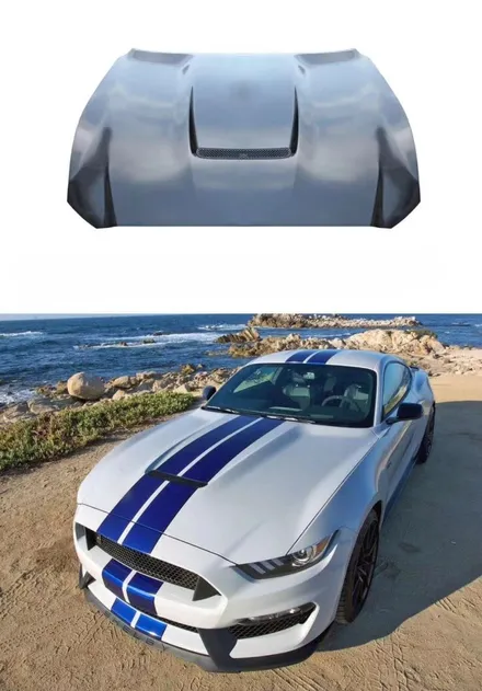 [MUSTANG] 머스탱 쉘비,셸비 GT350 신형개조, 머스탱 신형컨버전, 머스탱 코브라바디킷 / 충청 금산