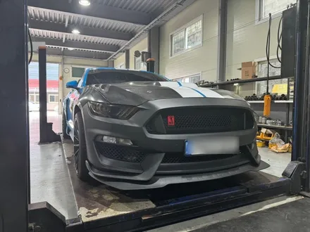 [FORD] 포드 머스탱 6세대 GT350R 한정판 컨버전! 머스탱 완성형 최신 컨버전킷의 끝을 달리다. / 충청 금산