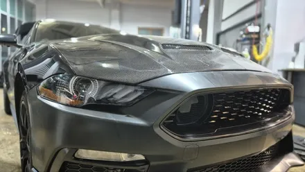 [FORD] 포드 머스탱 마하1 & 슈퍼스네이크 카본 본넷! 압도적 비주얼 머스탱 MACH 1 컨버전 / 충청 금산