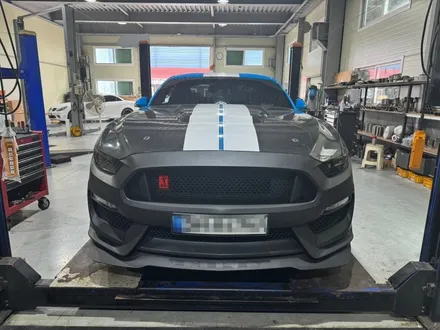 [FORD] 포드 머스탱 6세대 GT350R 한정판 컨버전! 머스탱 완성형 최신 컨버전킷의 끝을 달리다. / 충청 금산
