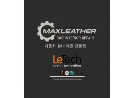 신형 팰리세이드 2열 시트 매니큐어 용액 변색 복원 사례 / 인천 남동