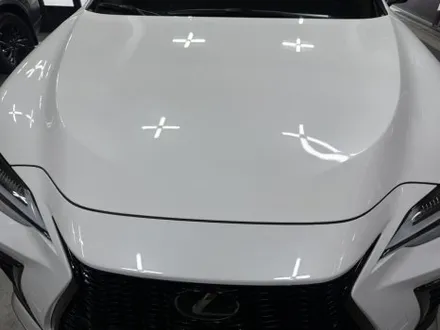 [모터가드존] ppf 보호필름 랩핑! 렉서스 nx450h (본넷 +사이드미러+b,c필러+생활보호필름) / 부천 상이로