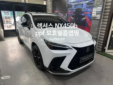 [모터가드존] ppf 보호필름 랩핑! 렉서스 nx450h (본넷 +사이드미러+b,c필러+생활보호필름) / 부천 상이로